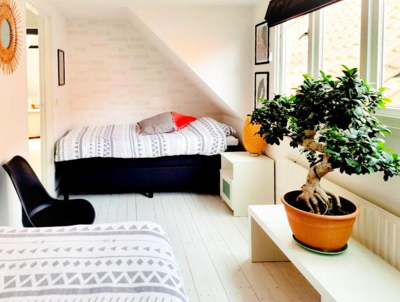 Appartement B&B Pandhouse Oud-Beijerland 外观 照片
